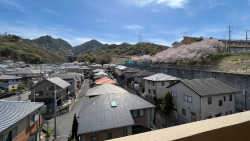 記事関連写真